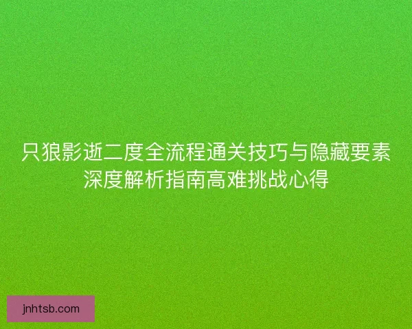只狼影逝二度全流程通关技巧与隐藏要素深度解析指南高难挑战心得 只狼影逝二度全流程通关技巧与隐藏要素深度解析指南高难挑战心得